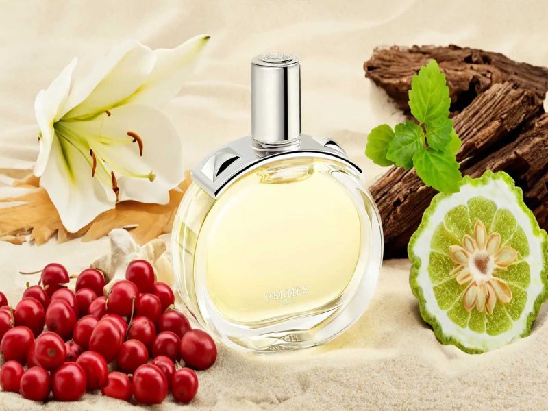 Le Parfum des Parisiennes : Les 7 Chyprés Qu’on Sent Partout à Paris ce Printemps