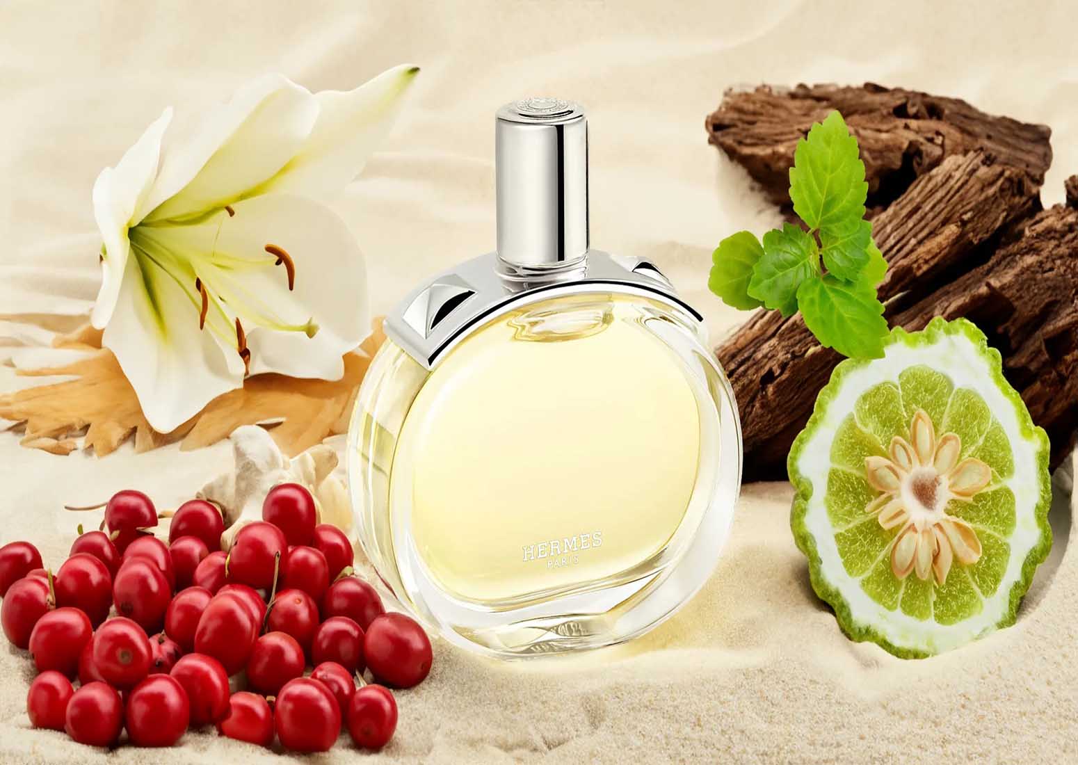Le Parfum des Parisiennes : Les 7 Chyprés Qu’on Sent Partout à Paris ce Printemps